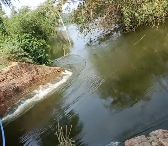 तरैया: ##तरैया #भलुआं बांध के पास लोहिया पुल ध्वस्त होने वाला है।