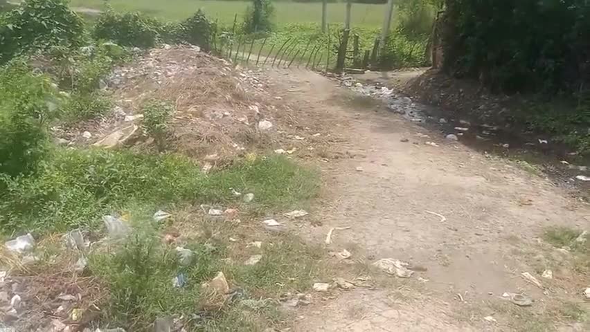नटेरन: ग्राम सेऊ में लगा गंदगी का अंबार, कई बार शिकायत करने के बाद भी नहीं हटाया गया कचरा #कचरा