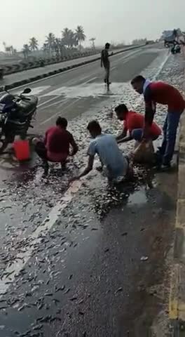 फारबिसगंज: #fish ki gari palat gYi hai