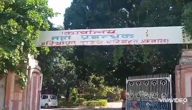 अम्बाला: जिले में रोडवेज को रोजाना हो रहा ₹8 लाख का नुकसान, यात्रियों को भरकर ले जाती हैं निजी बसें #रोडवेज