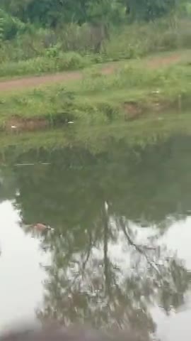 वारासिवनी: बालाघाट :ग्राम पंचायत नांदगांव  में 08/10/20से लापता50वर्षीय महिला का मिलाशव पूरे  24 घंटे बाद﻿#e24bollywood ﻿#waraseoni