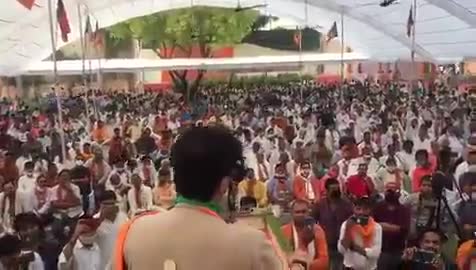 #ज्योतिरादित्य_सिंधिया सांसद राज्यसभा।
देखें #शायराना_अंदाज़।
#इल्जाम लगा रहें हैं #हमपर बेवफाई का...