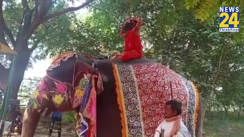 योग करते वक़्त हाथी से गिरे  योग गुरु बाबा रामदेव जी #baba_ramdev