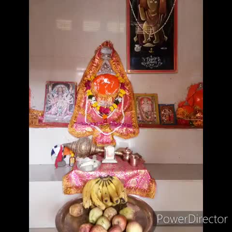 #गौसेवको ने किया प्रसाद वितरण गौ सेवा मंडल #मडावरा द्वारा प्रत्येक मंगलवार प्रसाद वितरण आज 184 वा प्रसाद वितरण संपन्न