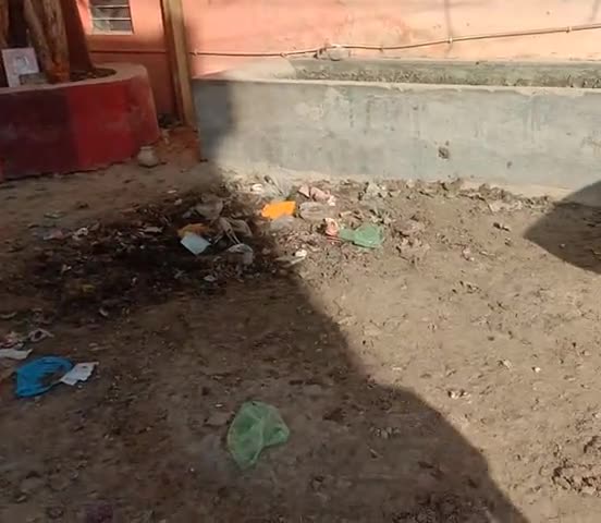 बीकानेर: help animal and clean place﻿#rajasthanpatrika ﻿#znews.digital #bikanernews ﻿#breakingnews12 ﻿#breakingnews297 ﻿#breaking