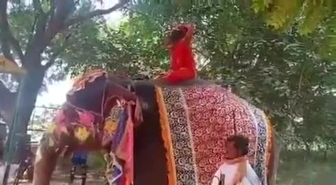 रायपुर: हाथी पर चढ़कर योग करने के दौरान जमीन पर 
गिरे बाबा रामदेव
#योग #बाबा_रामदेव