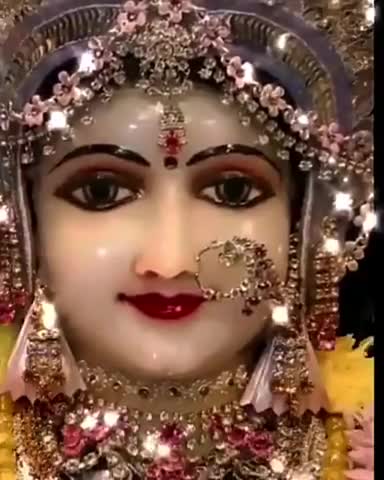 घोड़ाडोंगरी: नगरीय निकाय सारणी के विभिन्न पंडालो मे विरजित की गयी माँ अम्बे को प्रतिमाए
#navratri #news #betul #groundreport