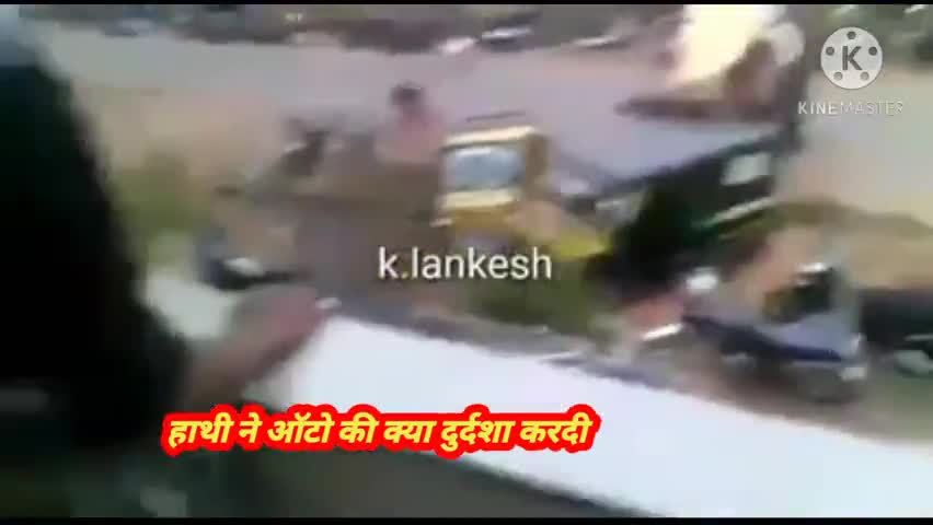 #हाथी ने #ऑटो की क्या दुर्दशा कर दि.... ऑटो के परचक्खे उड़े.... 
#भीम_आर्मी_प्रयागराज 
से जुड़े....