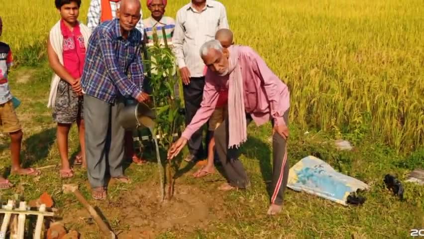 पकरीबरावां: रेवार दुर्गा मंदिर परिसर में पूजा समिति ने किया पौधरोपण #पर्यावरण_संरक्षण