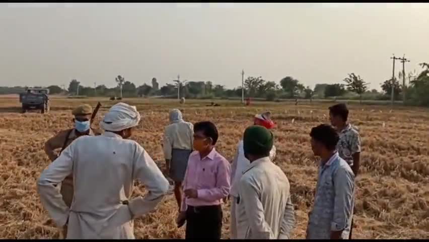 सैफई: #बिना एसएमएस लगी मशीन से धान कटाई की तो मशीन होगी सीज किसान के खिलाफ की जाएगी कार्रवाई- एसडीएम हेम सिंह सैफई।