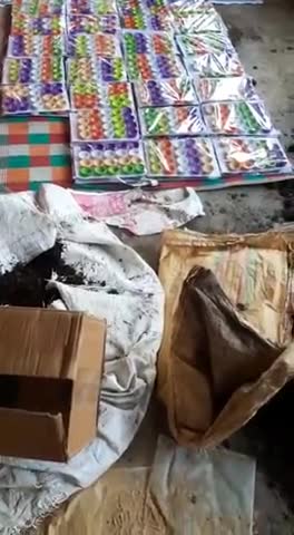 रायपुर के हीरापुर में महिला स्व:सहायता समूह द्वारा दीपावली के गोबर से बने दीये व गमले बनाया जा रहा है। #vikashmittal