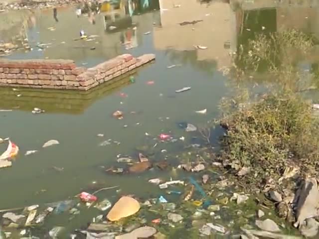 फरीदाबाद: फरीदाबाद के sec-87 के न्यू इंद्रा कॉम्प्लेक्स गड्ढा कॉलोनी में लोग #गंदगी के बीच मे रहने को #मजबूर