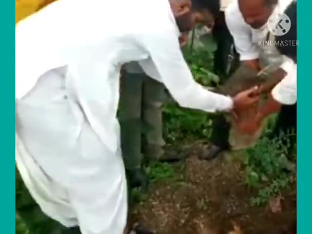बाली: बाली उपखंड के विरमपुरा गांव में पौधरोपण कार्यक्रम किया गया आयोजित #पौधरोपण