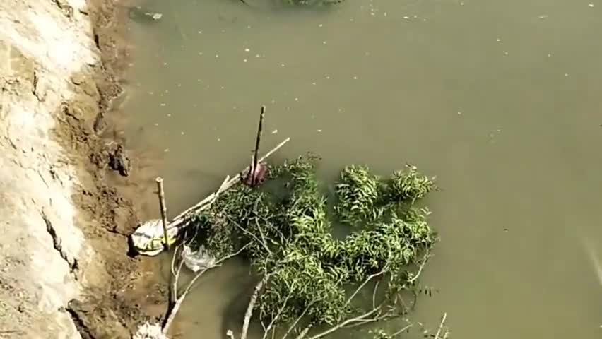 बैसि: मड़वा महादलित टोला में नदी कटाव तेज होने से ग्रामीणों ने चलाया नदी कटाव निरोधक कार्य, जिलाधिकारी से लगाई गुहार #कटाव
