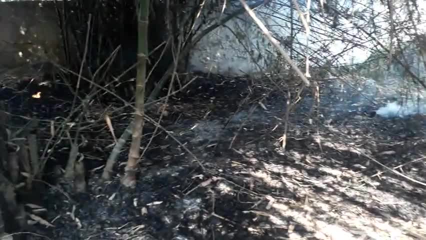 सोनपुर नयागांव बांस के कोठी में लगा आग  प्रशासन एवं ग्रामीणों के   सहयोग से  पाया गया काबू 
#bihar #sonpur #nayagaon #