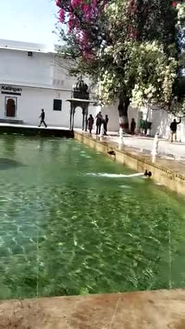 ﻿Saheliyon-ki-Bari is a major garden and a popular tourist space in Udaipur in the Indian state of Rajasthan.#trip 2019