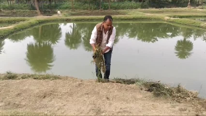 जामताड़ा विधायक डॉक्टर इरफान अंसारी जी जामताड़ा विधानसभा क्षेत्रों के कई छठ घाटों की सफाई! #Chhath_puja