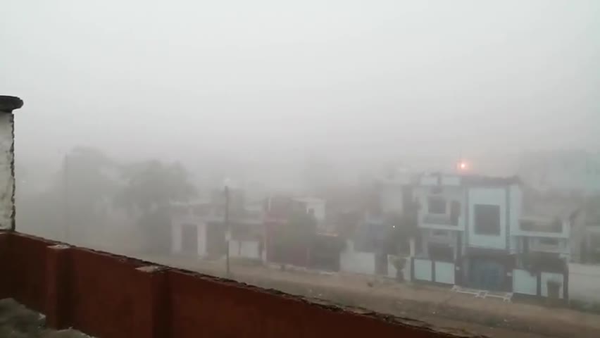 छतरपुर नगर: छतरपुर:  कल बारिश और #आज #कोहरा छा गया #fog (19 November, शांति नगर Chhatarpur)🌧️🌧️☔