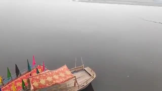 मथुरा: *देवउठनी एकादशी पे भक्तो का तांता 
वृन्दावन परिक्रमा*#brij parikrama
