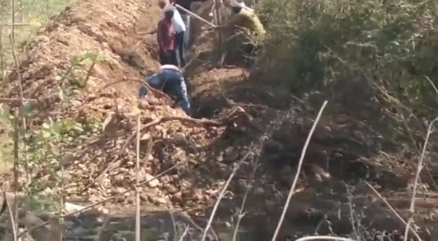 भवनाथपुर: सिंघीताली के भदेरा टोला में मनरेगा योजना से वृक्षारोपण योजना में जेसीबी से ट्रेंच खोदे जाने का मामला आया राकश में#गड़बड़ी