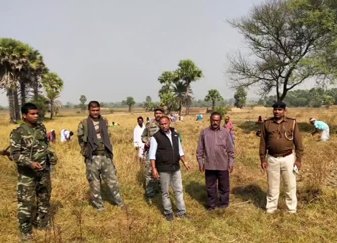 महेशपुर: महेशपुर दंडाधिकारी ने लोगांव में रैयतों के 74 बीघा 7 कट्ठा पर लगी धान की फसल पर दिलाया दखल #दखल