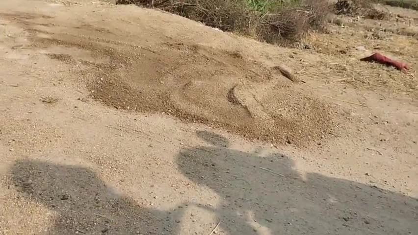डंडा: डंडा में खराब हुई सड़क का कराया जा रहा है मरम्मती कार्य, मुखिया ने दी जानकारी #सड़क #मरम्मत