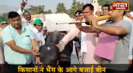 #FarmersProtest2020 

#Noida  - किसानों ने भैंस के आगे बजाई बीन, कहा - सरकार पर उनकी बातों का कोई असर नहीं।