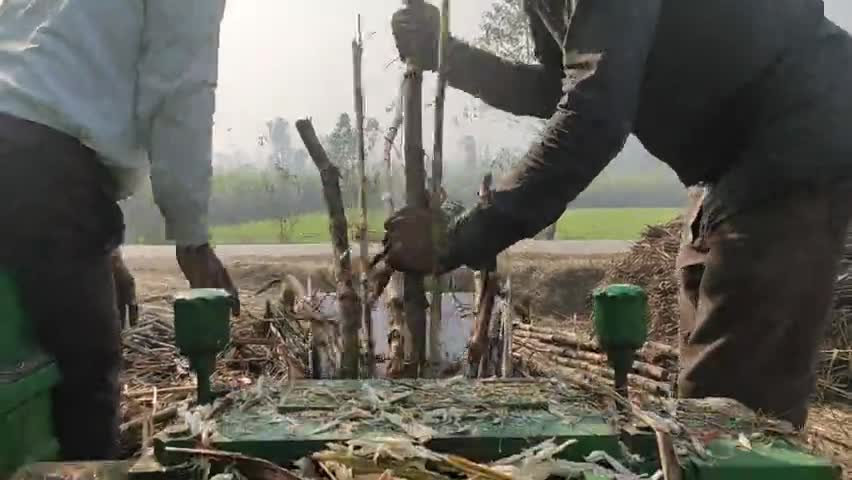 बहेड़ी: #रोज़गार
#किसान_केंद्र
#sugarcane 
#ganna
ग्रामीढ़ वासियो के लिए
रोज़गार पाने का विशेष अवसर ﻿