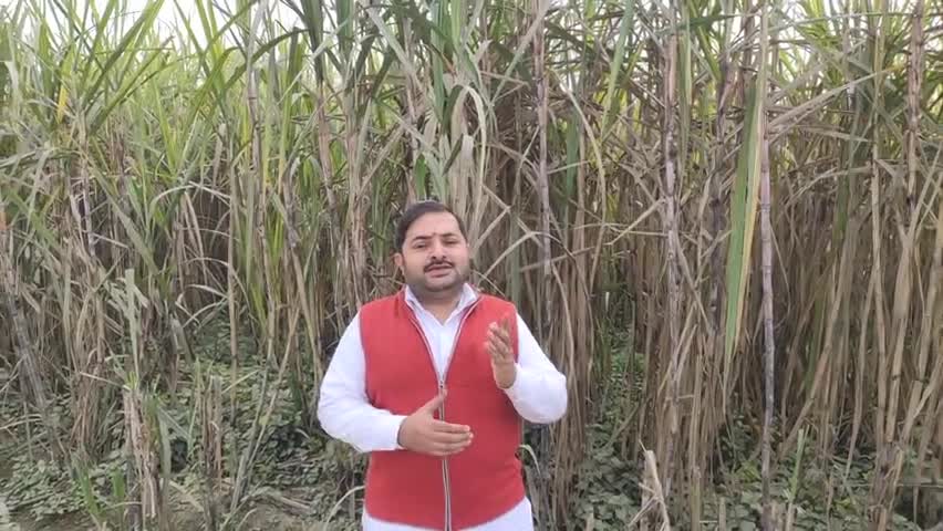 #मेरे_दोस्तों
यदि जिंदगी में सुख और शांति चाहते हो तो लोगों की बातों को दिल पर लेना छोड़ो...  अपना बहुत ध्यान रखें..।