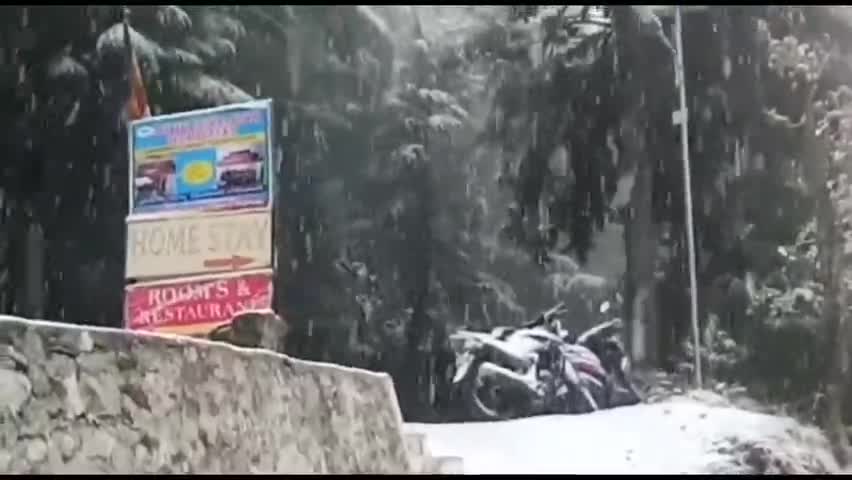 टिहरी: टिहरी जनपद के मशहूर पर्यटक स्थल #धनोल्टी, कानाताल, ठांगधार की पहाड़ियों पर जमकर हुई #बर्फबारी