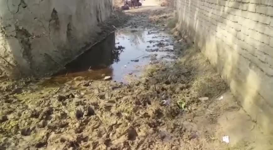 बिलग्राम: हरैया साहिमपुर के मजरा सडियनपुरवा में मुख्य मार्ग पर कीचड़ और जलभराव के चलते ग्रामीण परेशान #उदासीनता