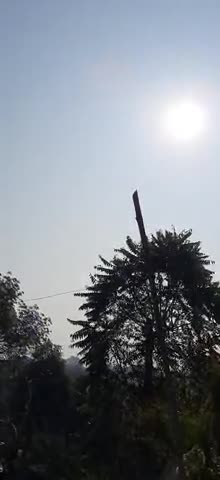 टीकमगढ़: टीकमगढ़ मध्य प्रदेश में 5 दिन की बहुत तेज सर्दी पढ़ने के बाद 6  दिन  बाद निकली है धूप #tikamgarh #tikamgarh_news