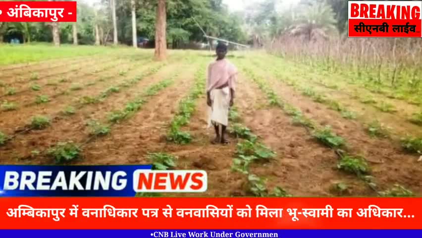 अंबिकापुर: अम्बिकापुर में वनाधिकार पत्र से 25,102 वनवासियों को मिला भू-स्वामी का अधिकार।CNB Live News।#Ambikapurnews #surgujanews