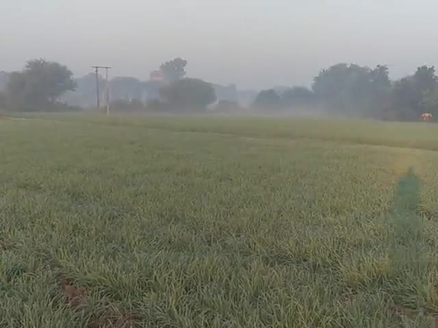 घट्टिया: #kisan#kishanlightproblams धूलेतिया व  उसके आसपास घना कोहरा छाया रहा