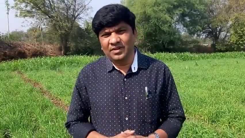 मनावर: #जय_जवान #जय_किसान
 कृषि बिल का हम विरोध करते हैं 
#RadheshyamMuvel