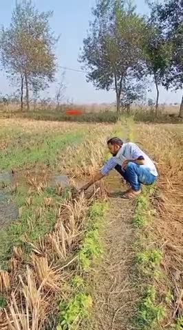#राहुल_गांधी के नादानी?
#किसानों को असमंजस मे छोड़ निकले नानीघर #विदेश यात्रा पर
#कॉंग्रेस स्थापना दिवस मे नही लिया भाग