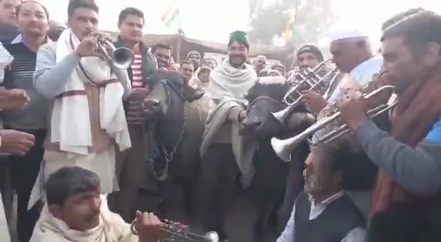 बागपत : कृषि कानून के विरोध में किसानों ने भैस के आगे बिन बजाकर किया अनोखा प्रदर्शन..

 #किसान_आंदोलन #farmersrprotest