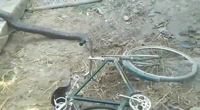 किशनगंज: किशनगंज के गाछपारा पंचयात वार्ड नो 12 खारी बस्ती में एक बहुत बड़ा अजगर सांप मिला है#जिससे पूरा गांव में हलचल सा मैच गया थ
