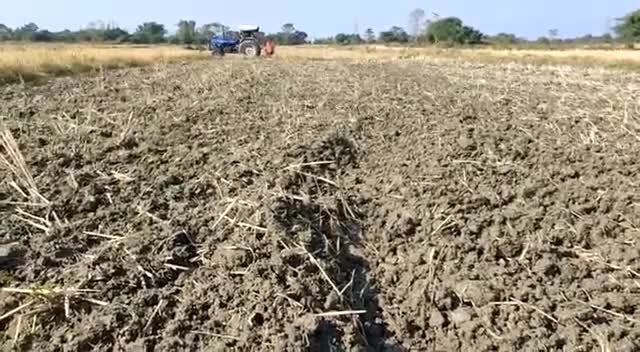 अश्वगंधा की खेती की जानकारी के लिए जुड़े Indian Agri Network यूट्यूब चैनल से

#राष्ट्रीयकिसानविकासमहासंघ