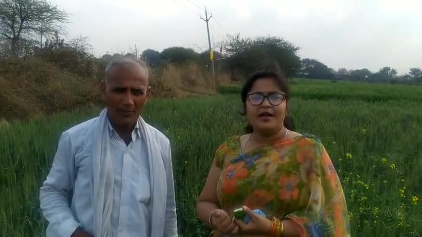 बिना बीमारी के किसानों को जो दवा खिलाने की कोशिश की जा रही है वही है नया कृषि बिल।
#SpeakUpForFarmers