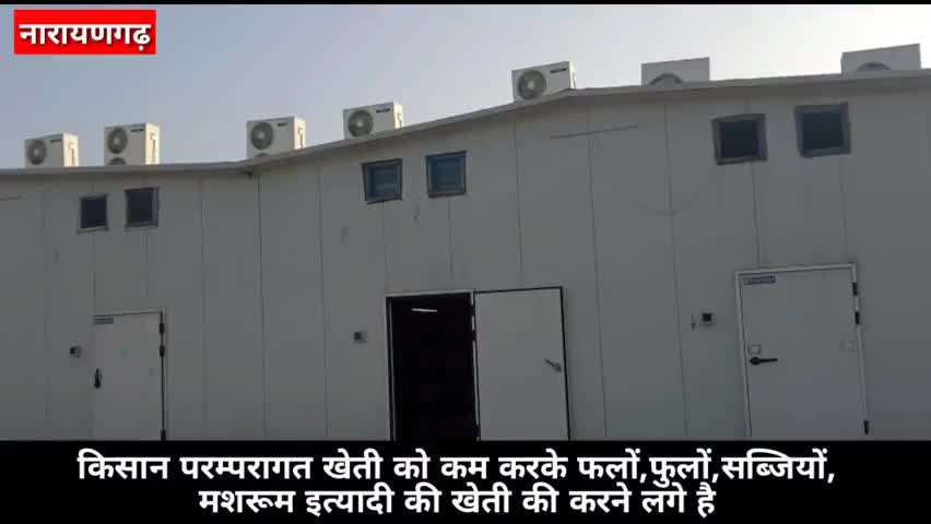 नारायणगढ़: नारायणगढ़:-#किसान_प्रदर्शन किसान परम्परागत खेती को कम करके फलों,फुलों ,सब्जियों्र मशरूम इत्यादी करने में लगे