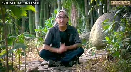 हम घोंघे क्यों मारते है?

#peepalfarm #peoplefarm #animalrescue #animalwelfare #compassion #philosophy