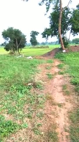 #टिकटोक स्टार मेरे भाई साहब