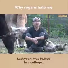 कई वीगन लोगों को मुझसे नफरत क्यों करते हैं?
#peepalfarm #peoplefarm #animalrescue #vegan #robinsingh