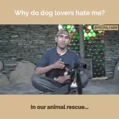 Dog lovers mujhse nafrat kyu karte hain?
#peepalfarm #peoplefarm #animalrescue #animalwelfare #robinsingh