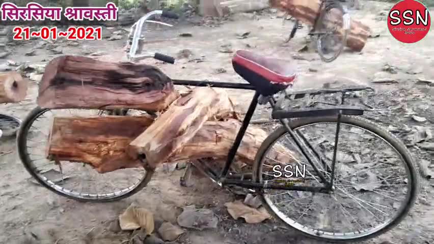 सोहेलवा जंगल पर वन माफियाओं का काला साया #Suhelwa #Sirsiya ﻿#Vanvibhag #Shravasti