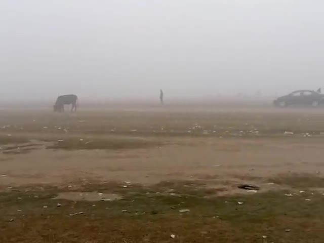 बेतिया: आज तीसरे दिन बेतीया में ठन्डी की कहर बर्पा रही सर्द हवाओं के साथ!
बेतीया बङामरमना में धुँध का नजारा! #ठन्ड
#चम्पारण ﻿
