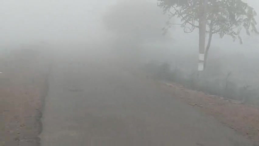 बासोदा: #गंजबासौदा में घने कोहरे के साथ भारी ठंड।