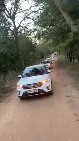 #पिकनिक #टूर #धमनी #रिसार्ट 2021