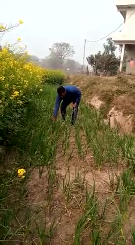 #ek kisan hi ek kisan ki dukh dard samajh sakta hai